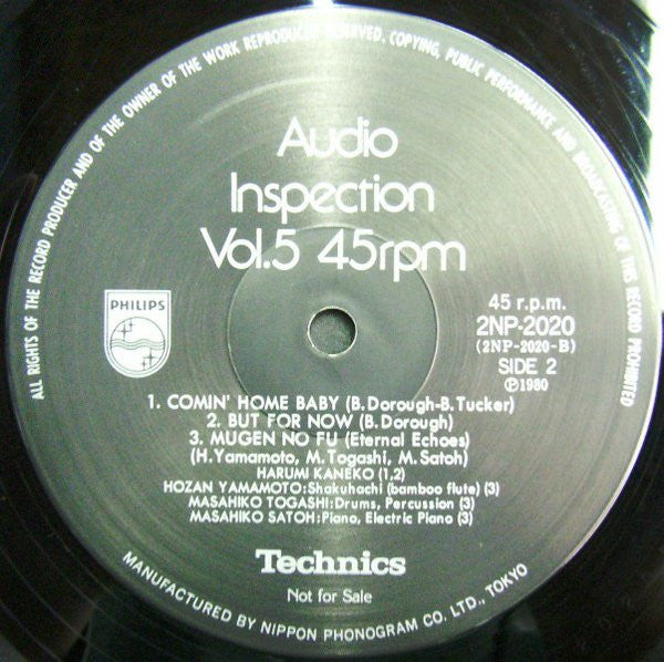 Various - Audio Inspection Vol. 5 (LP)