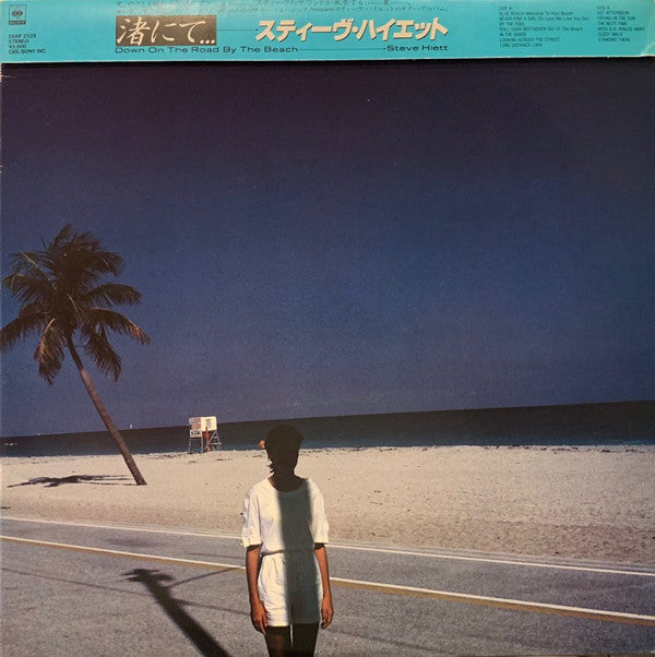 Steve Hiett - Down On The Road By The Beach (LP, Album)