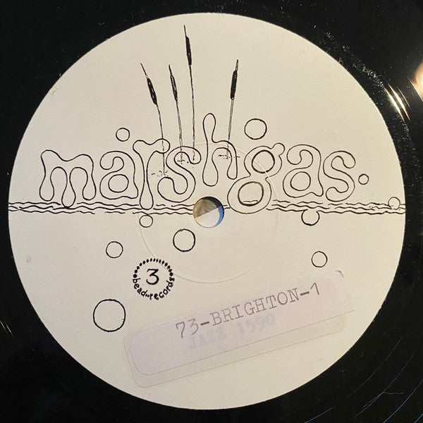 Ian Brighton - Marsh Gas (LP, Album)
