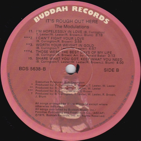 The Modulations - It's Rough Out Here (LP, Album, RE)