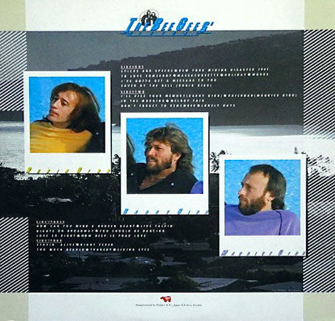 Bee Gees - History (2xLP, Comp, Gat)