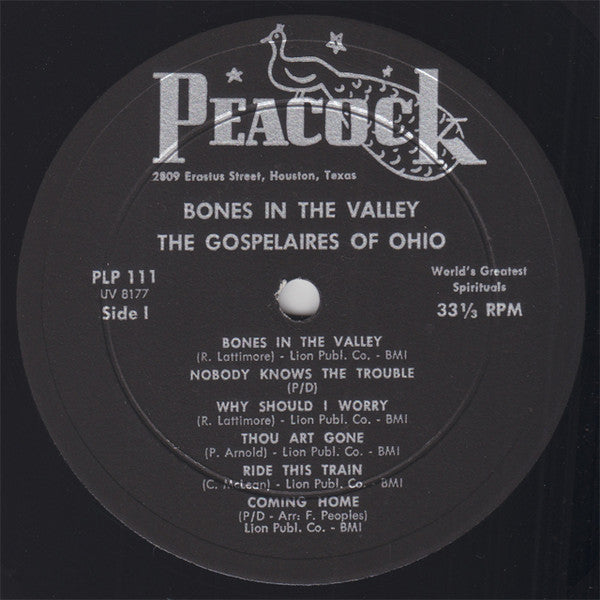 The Gospelaires - Bones In The Valley (LP, Album, Mono)