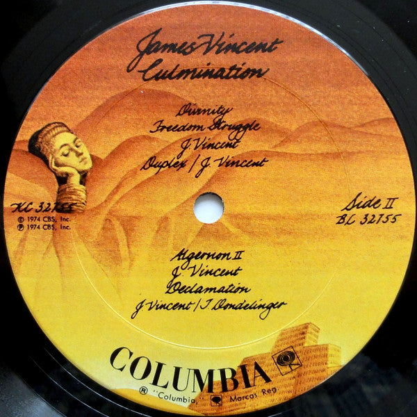 James Vincent - Culmination (LP, Album)