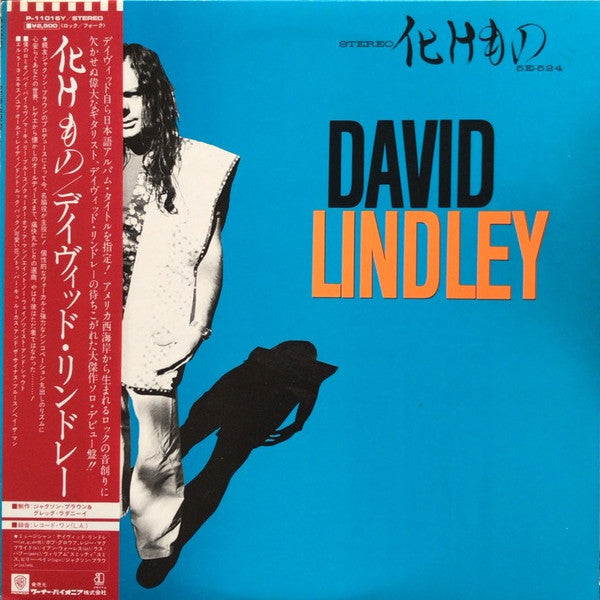 David Lindley - 化けもの (LP, Album)