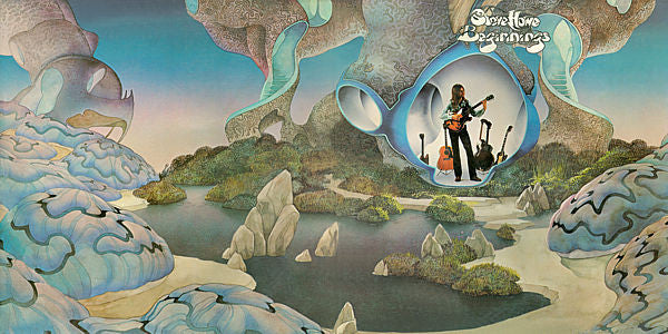 Steve Howe - Beginnings (LP, Album, Ric)