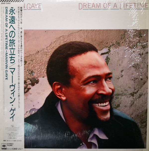 Marvin Gaye - Dream Of A Lifetime (LP, Album)