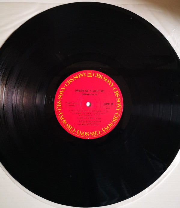 Marvin Gaye - Dream Of A Lifetime (LP, Album)