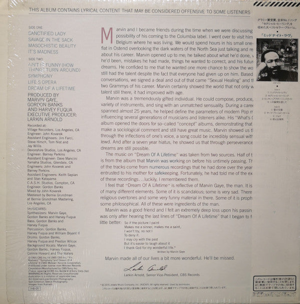 Marvin Gaye - Dream Of A Lifetime (LP, Album)