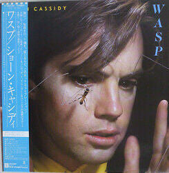 Shaun Cassidy - Wasp (LP, Album)