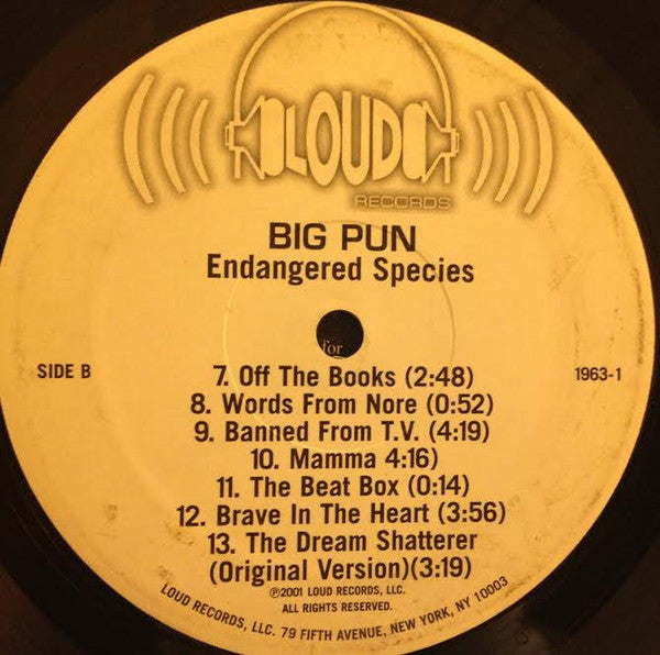 Big Pun* - Endangered Species (2xLP, Comp)