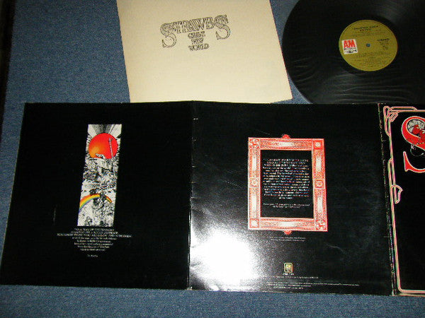 Strawbs - Grave New World (LP, Album, Tri)