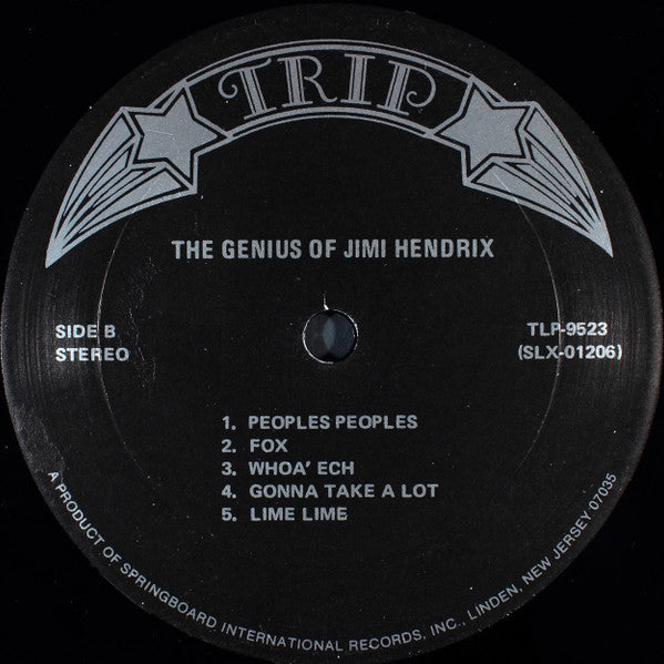 Jimi Hendrix - The Genius Of Jimi Hendrix (LP, Comp)