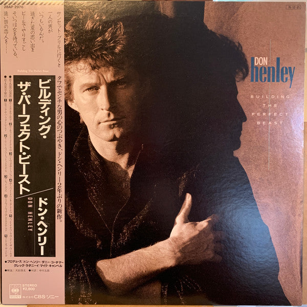 Don Henley - Building The Perfect Beast (LP, Album)