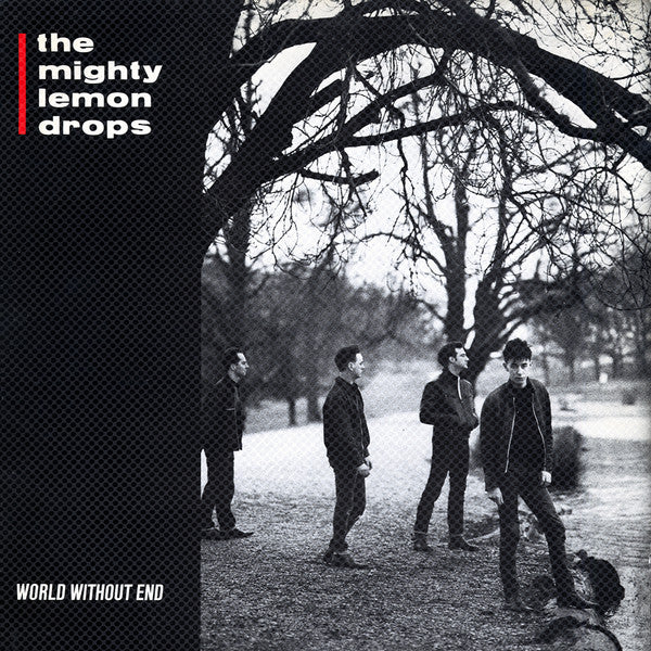 The Mighty Lemon Drops - World Without End (LP, Album)