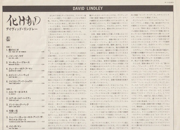 David Lindley - 化けもの (LP, Album)