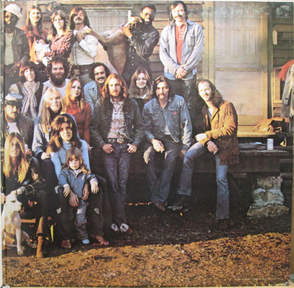 The Allman Brothers Band - Brothers And Sisters (LP, Album, RP, BLU)