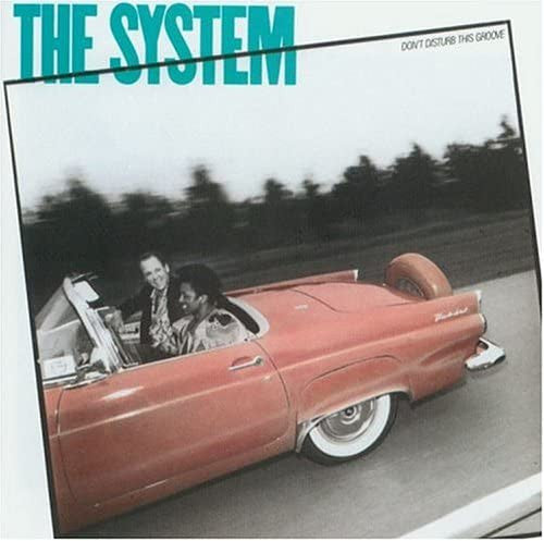 The System - Don't Disturb This Groove (LP, Album)