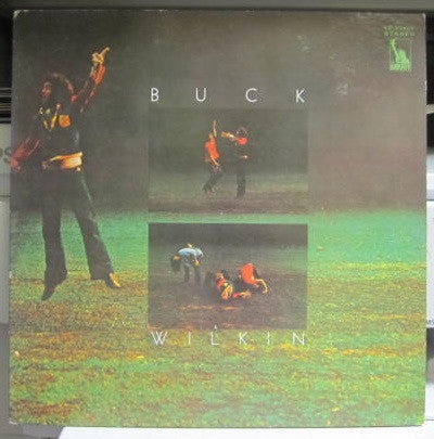 Buck Wilkin* - Buck Wilkin (LP, Album)