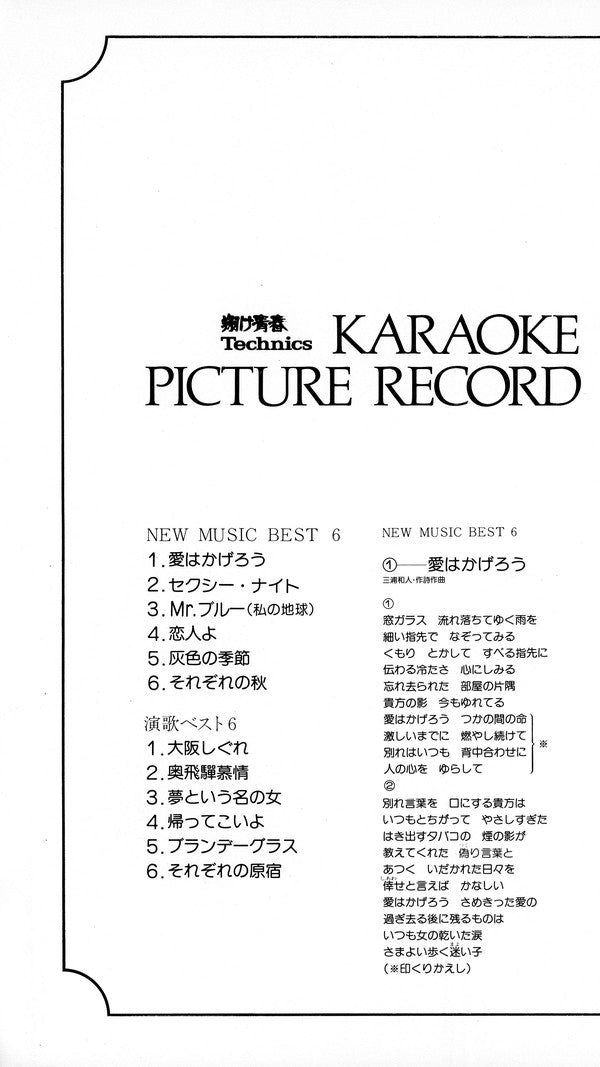 Unknown Artist : Karaoke Picture Record (LP, Pic, Promo)