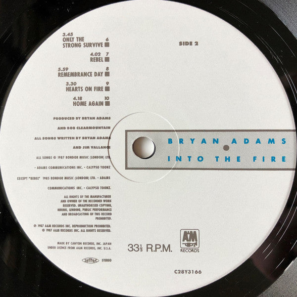 Bryan Adams : Into The Fire (LP, Album)