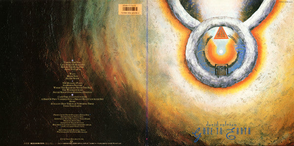 David Sylvian : Gone To Earth (2xLP, Album)