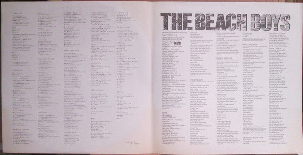 The Beach Boys : The Beach Boys (LP, Album)