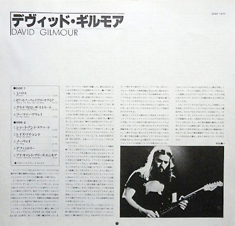 David Gilmour : David Gilmour (LP, Album, Gat)