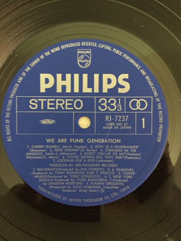 Various : We Are Punk Generation (LP, Comp)