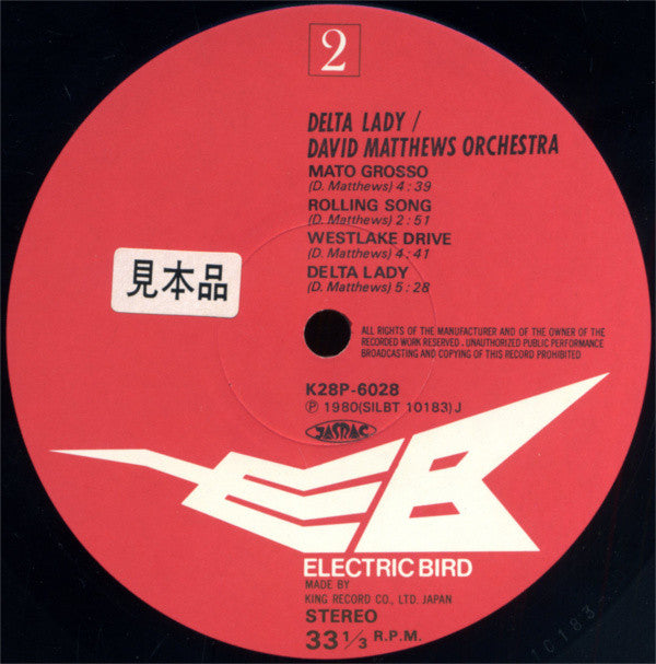 David Matthews Orchestra : Delta Lady (LP, Album)