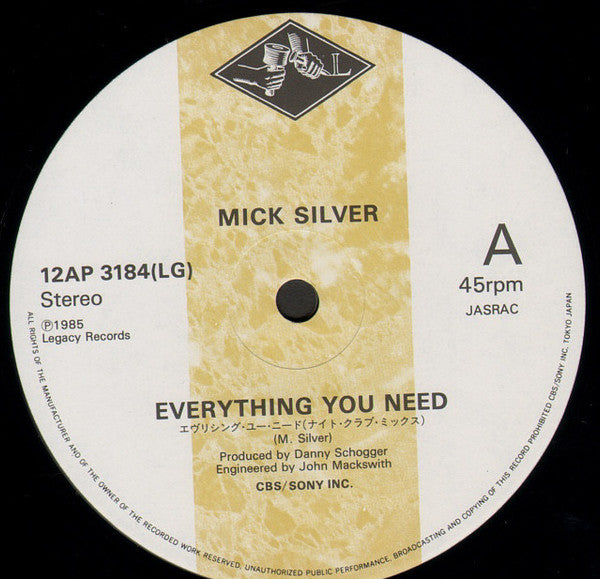 Mick Silver : Everything You Need (12", Maxi)