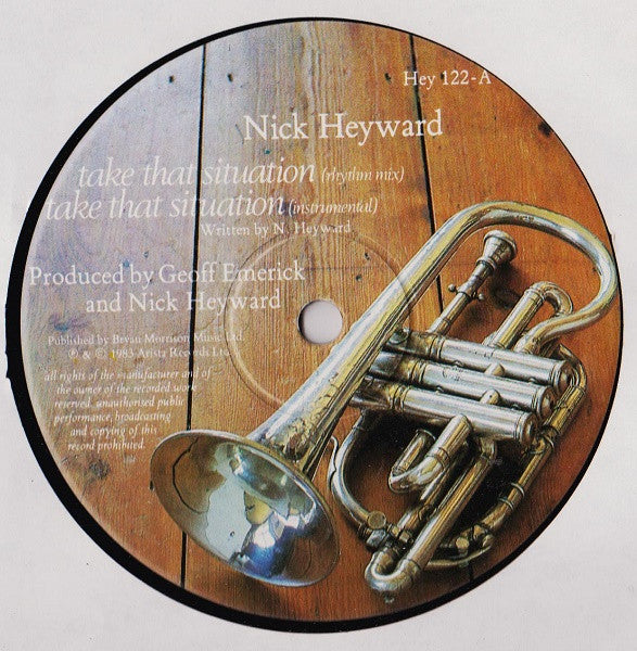 Nick Heyward - Take That Situation (12"", Single)