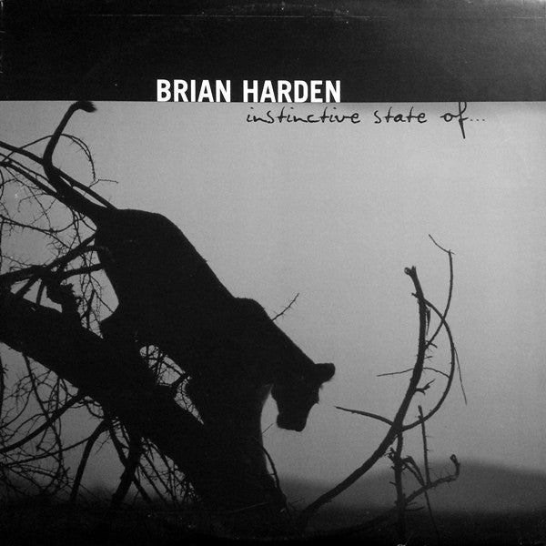 Brian Harden - Instinctive State Of... (2xLP, Album)