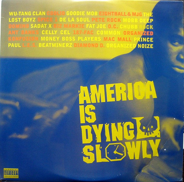Various - America Is Dying Slowly (2xLP, Comp)