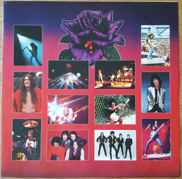 Thin Lizzy - Black Rose (A Rock Legend) = ブラック・ローズ(LP, Album)