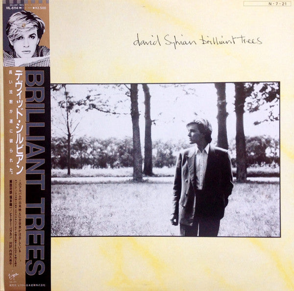 David Sylvian = デヴィッド・シルビアン* - Brilliant Trees (LP, Album)
