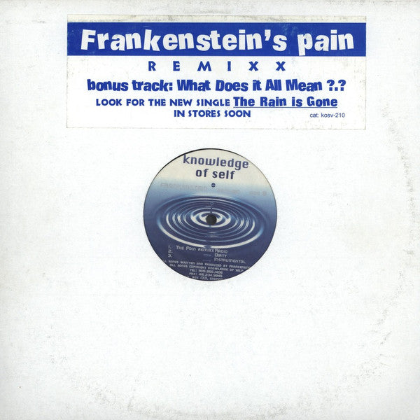 Frankenstein - What Does It All Mean / The Pain Remixx (12"")