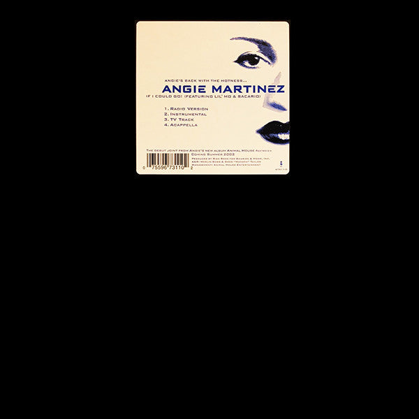 Angie Martinez - If I Could Go (12"")