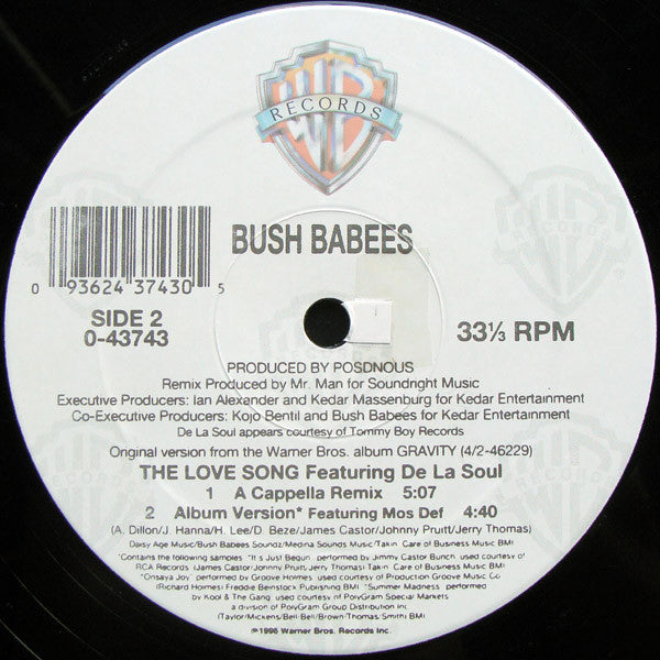 Bush Babees* - The Love Song (The Remix) (12"")