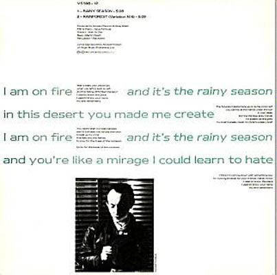 Howard Devoto - Rainy Season (12"", Single)