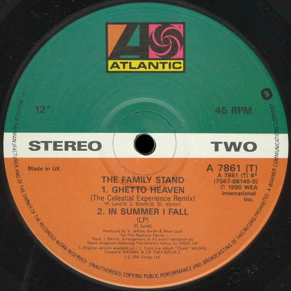 The Family Stand - In Summer I Fall (12"")