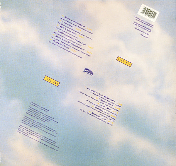 Buddy Guy - Feels Like Rain (LP, Album)