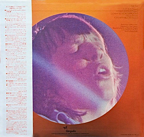 Robin Trower - For Earth Below (LP, Album)