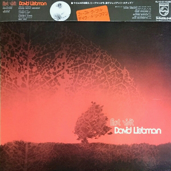 David Liebman - First Visit (LP, Album)