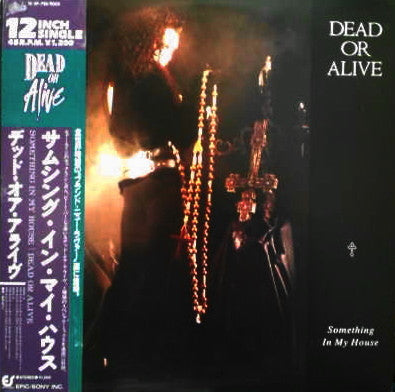 Dead Or Alive - Something In My House (12"")