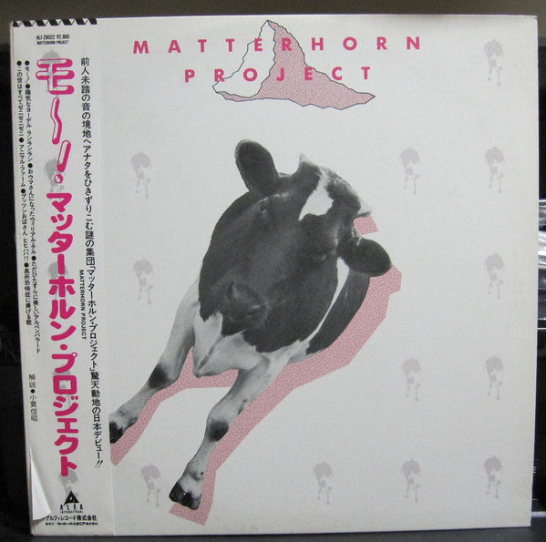 Matterhorn Project - Matterhorn Project (LP, Album, Promo)