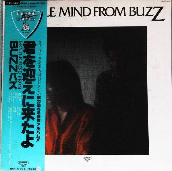 Buzz (29) - Gentle Mind From Buzz (LP, Album)