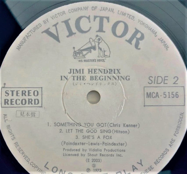 Jimi Hendrix - In The Beginning (LP, Promo)