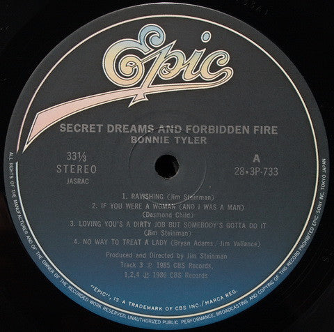 Bonnie Tyler - Secret Dreams And Forbidden Fire = 秘めた想い (LP, Album)