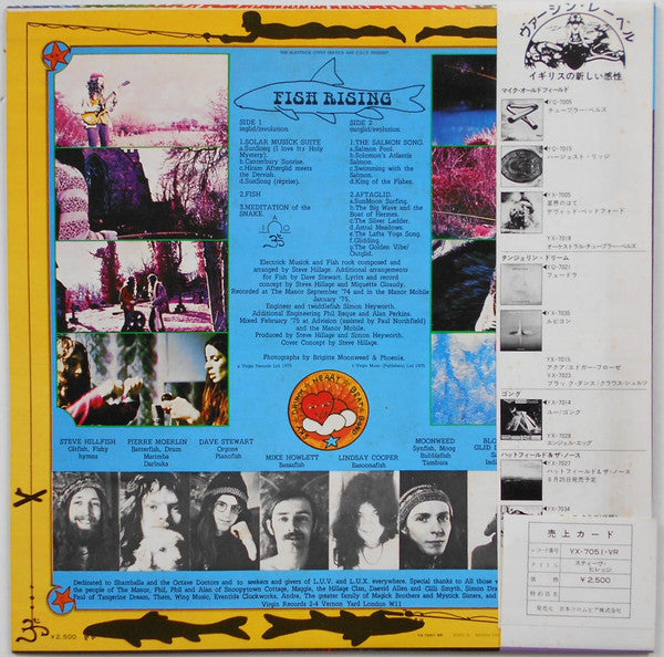 Steve Hillage - Fish Rising (LP, Album)