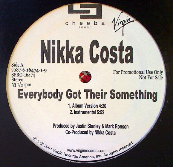 Nikka Costa - Everybody Got Their Something (12"", Promo)